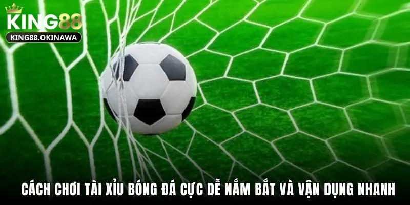 Cách chơi tài xỉu bóng đá cực dễ nắm bắt và vận dụng nhanh