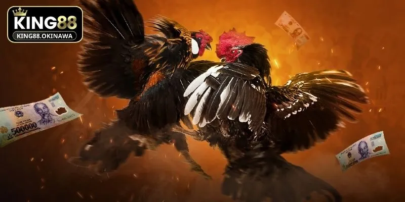 Đá Gà Nòi - Bí Kíp Đặt Cược Thắng Siêu Lớn Tại King88